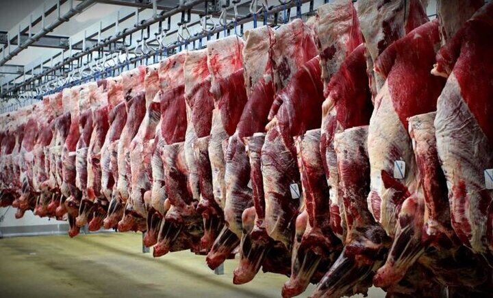 قیمت گوشت قرمز امروز دوشنبه ۱۹ مرداد ۱۴۰۵ 