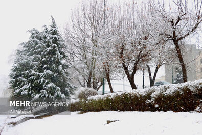بارش برف زمستانی در ارومیه