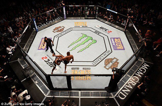 رقابتهای MMA با مجوز وزارت ورزش برگزار می‌شود