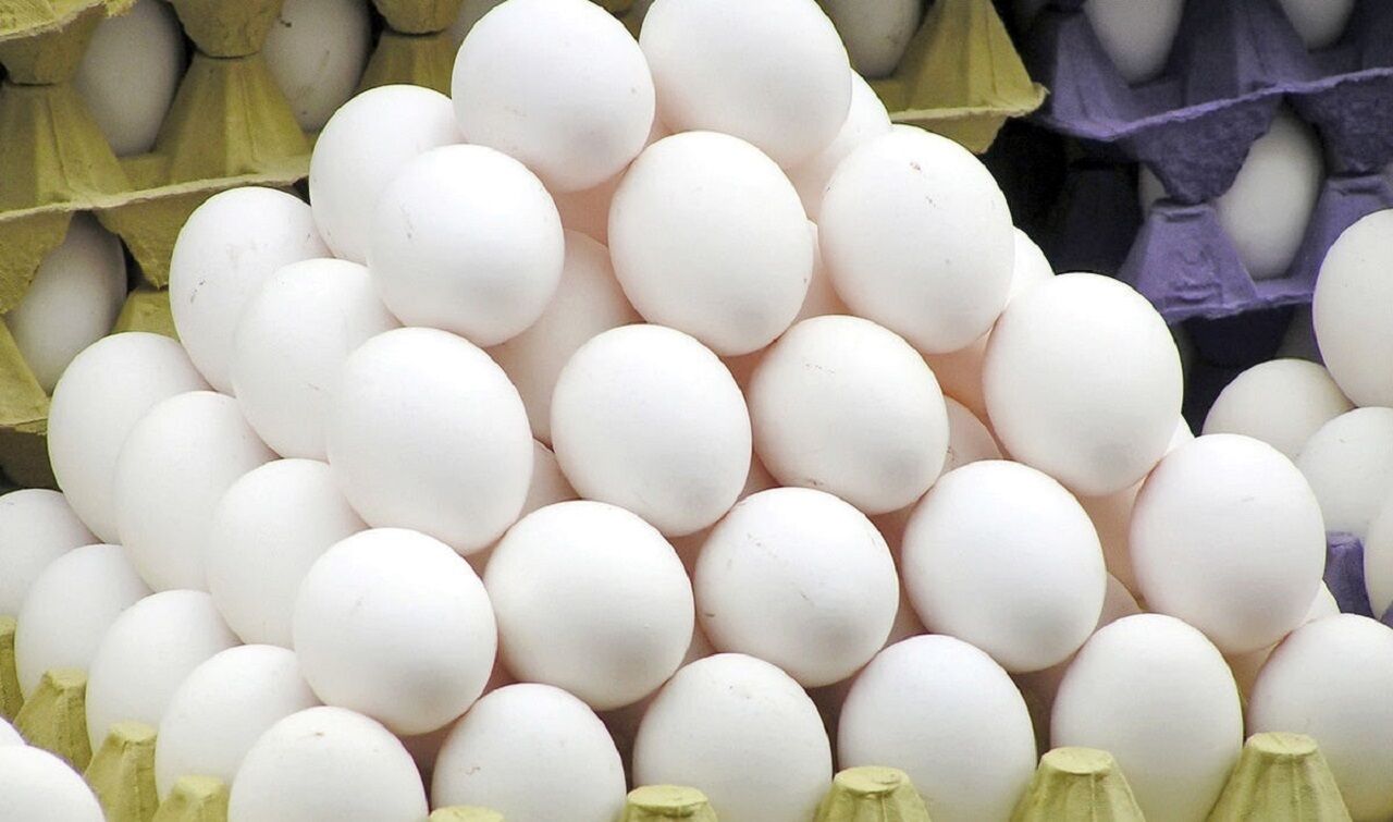 صادرات تخم مرغ آزاد شد