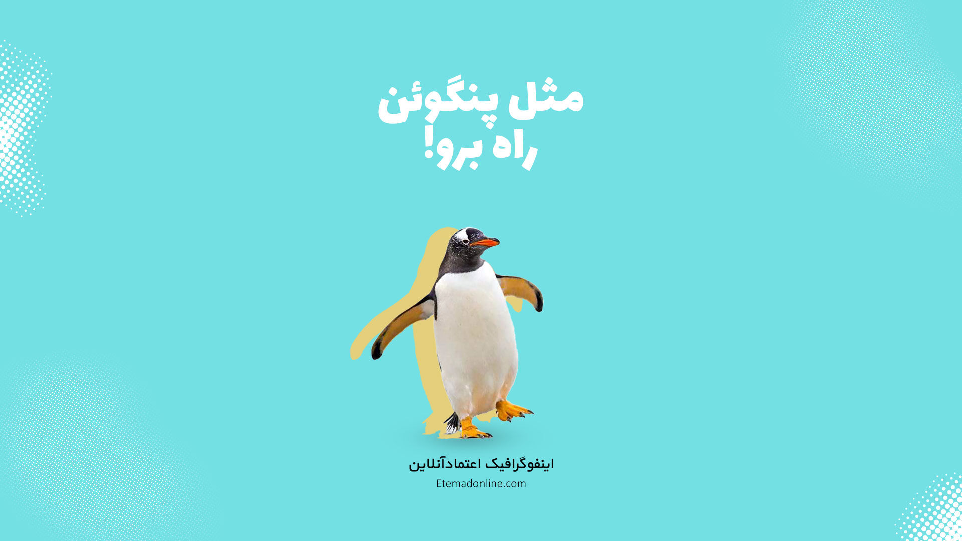 اینفوگرافی| نکات ایمنی برای روزهای برفی و یخ‌زده