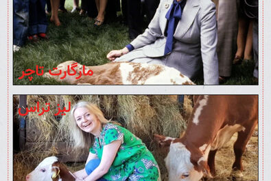 لیز تراس