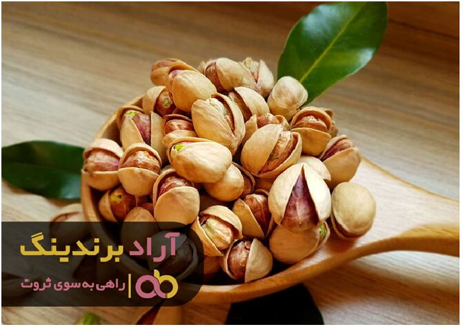 با دنبال کردن مسیر ثروتمندان به ثروت بیکران دست یابید

