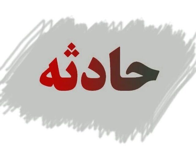 آزار شیطانی پسر 7 ساله به بهانه نشان دادن کبوتر