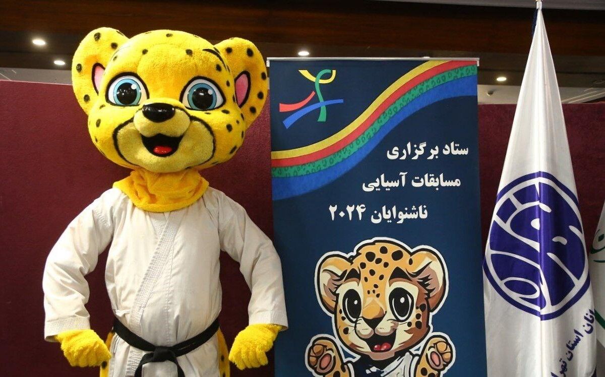 توضیحات رییس فدراسیون در مورد احتمال لغو مسابقات آسیا در تهران/ دروغ های اسرائیل روی نیامدن کشورها تاثیر دارد/ چین که دوست سیاسی ما است چرا نمی آید؟