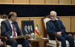 تاکید سفیر جدید پاکستان در تهران بر آمادگی برای توسعه مناسبات در دیدار با وزیر کشور