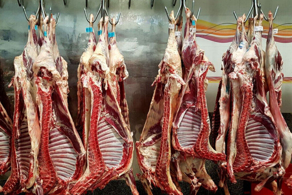 قیمت جدید گوشت گوسفندی تنظیم بازاری خارجی و ایرانی اعلام شد