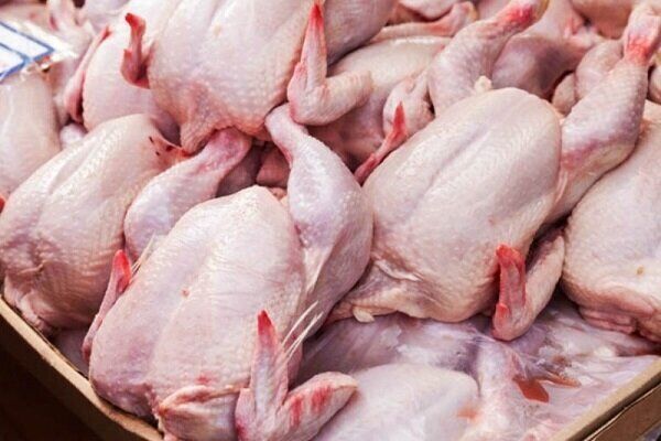 قیمت گوشت مرغ امروز شنبه ۱۸ مرداد ۱۴۰۴