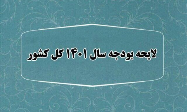 انتقاد یک نماینده مجلس از روند بررسی بودجه