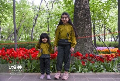 گل - باغ ایرانی