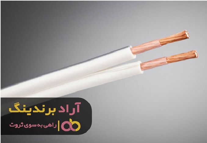 اولین قدم برای رسیدن به ثروت را بیاموزید!