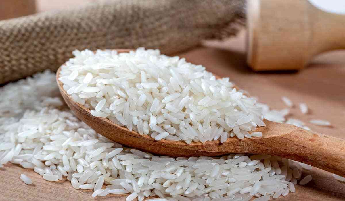 سوخت ۲۰۰هزار تن برنج در بندر شهیدرجایی واقعیت دارد؟