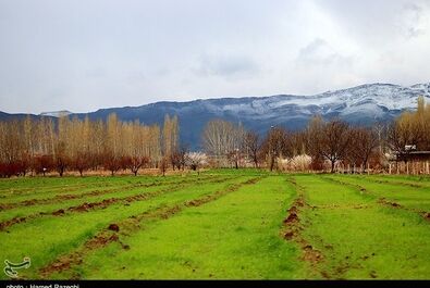 طبیعت بهاری ابهر
