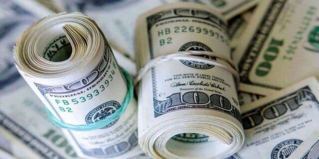 حذف ارز ترجیحی به کاهش کالاهای اساسی از سبد مصرفی منجر نشود