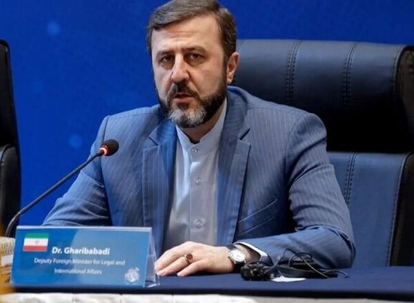 غریب آبادی: آمریکا نمی‌تواند با خروج از شورای حقوق بشر از زیر بار مسئولیت خود شانه خالی کند