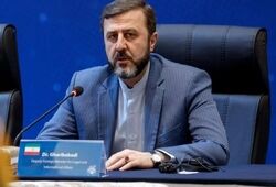 واکنش مهم غریب آبادی به برخی ادعاها درمورد درآمد نجومی از عوارض تنگه