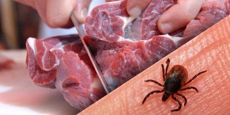 با شروع فصل گرما مراقب شیوع این بیماری خطرناک باشید