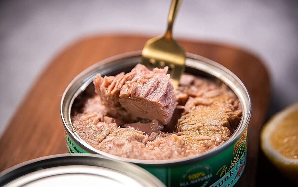 
کنسرو ماهی گران می‌شود
