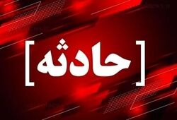 راز ناپدید شدن دختر جوان در هاله‌ای از ابهام؛ دوست اینترنتی بازداشت شد