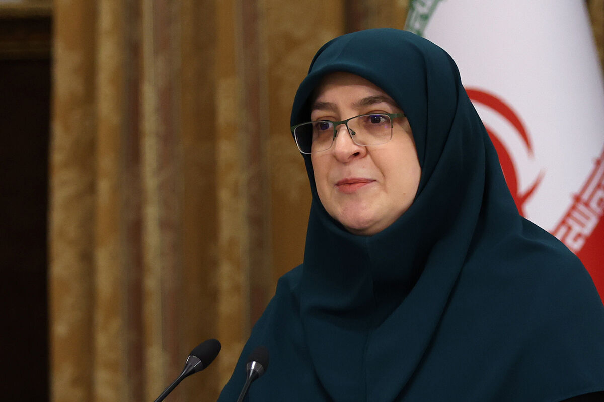مهاجرانی: توجه دولت بر این است که اتباع غیر مجاز را برگرداند