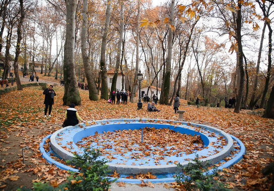 گالری