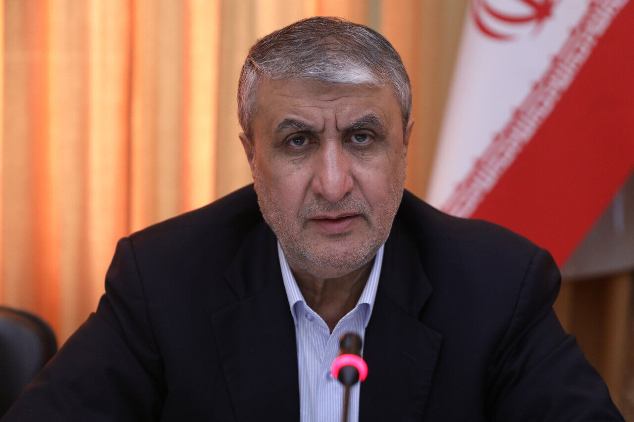 سخنگوی کمیسیون امنیت ملی: سازمان انرژی اتمی وارد مرحله صنعتی شد