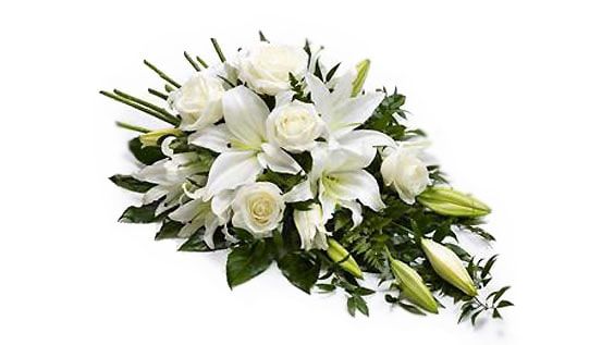 چرا گل گران شده است؟