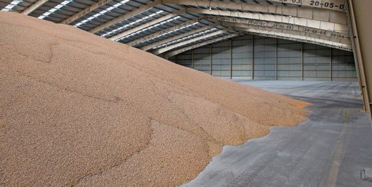 ذرت‌های غیراستاندارد در بندرامام در حال خروج از کشور است